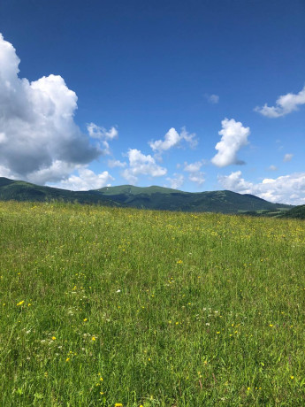 prodaz-zemli-pilipec-zakarpatska-oblast-big-0