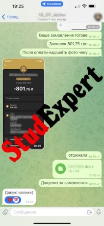 kupit-magisterskuiu-rabotu-v-ukraine-big-3