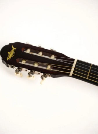 klasicna-gitara-shark-music-nova-vid-magazinu-big-1